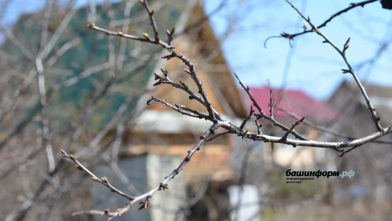 Какой будет погода в Башкирии – прогноз