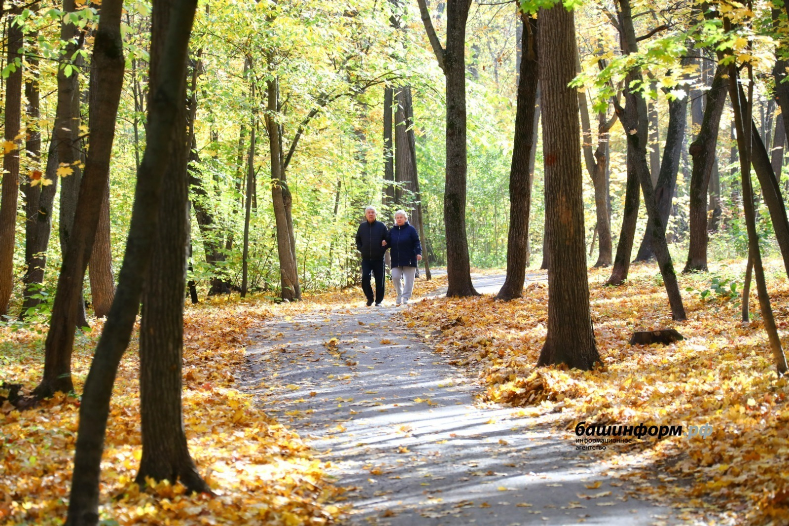 В Башкирии главврач кардиоцентра рассказала о «сердечных» проблемах осени