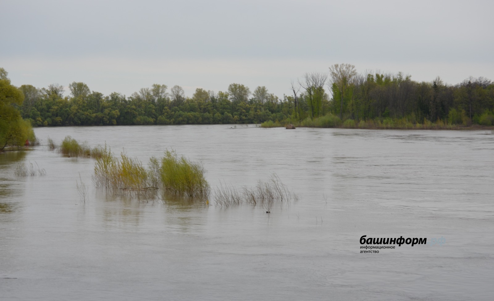 В Уфе нашли останки пропавшего подростка