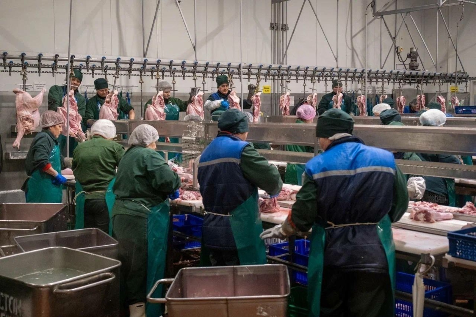 Башкирская индейка «полетела» в Африку