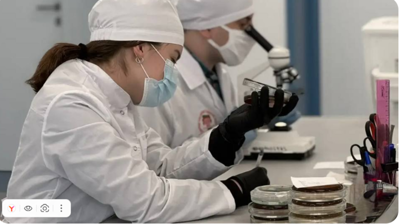 В Межвузовском кампусе создали тест-систему для быстрого поиска «бактерии стр