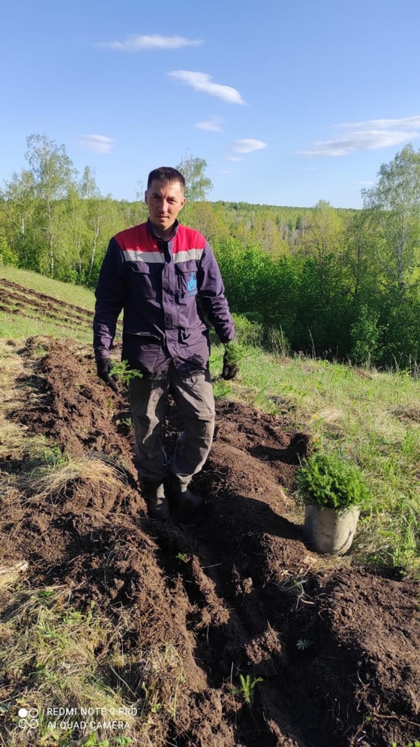 8 тысяч елей в память о Героях