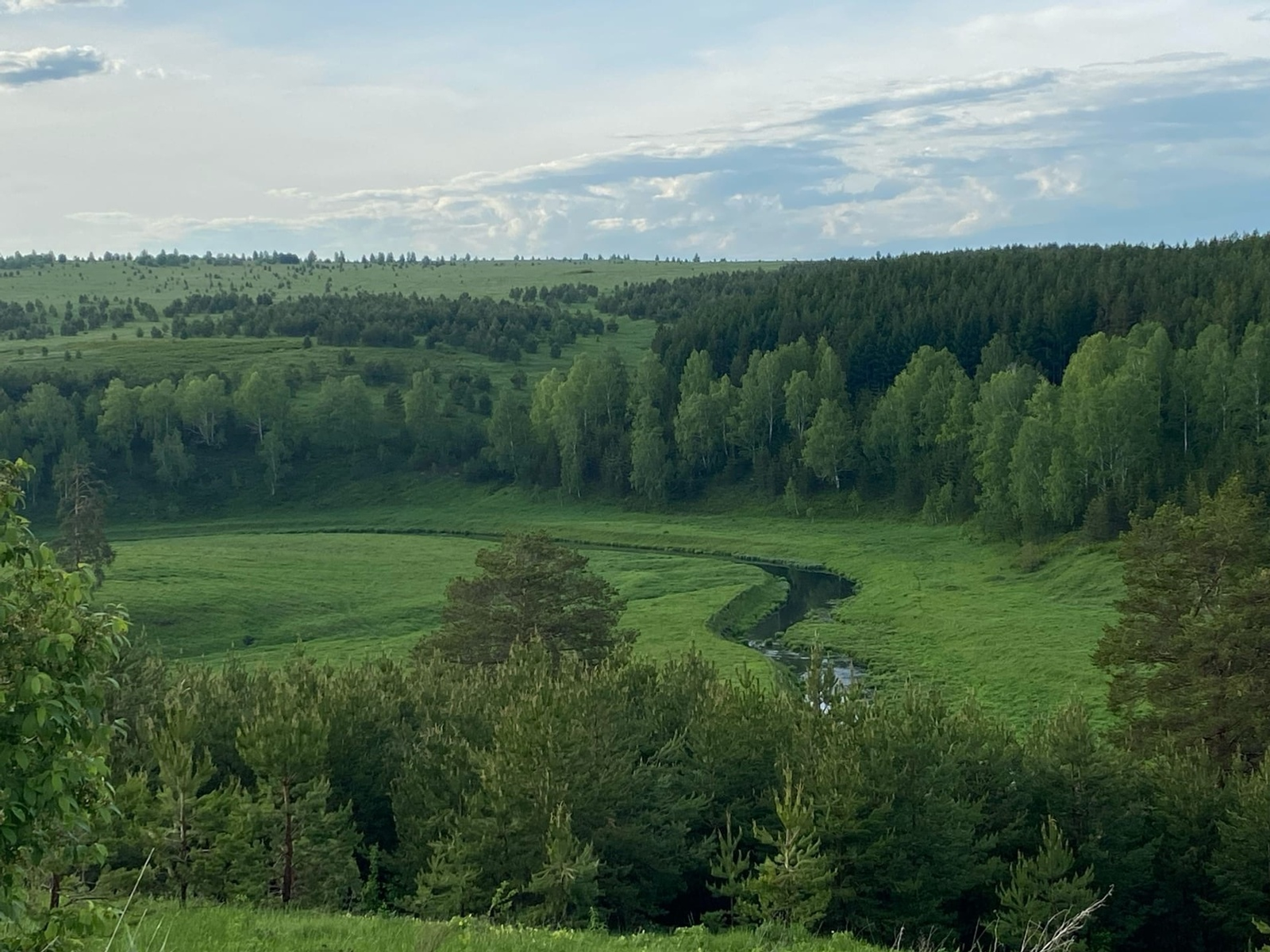 Клещ до двух часов может «путешествовать» по телу человека