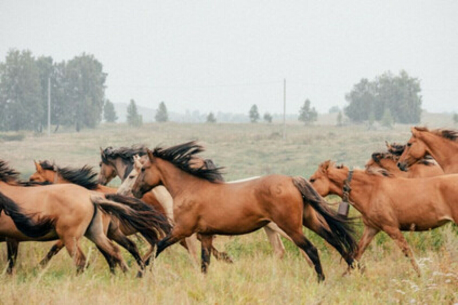 В Башкортостане 39 человек выиграли грант «Агростартап»