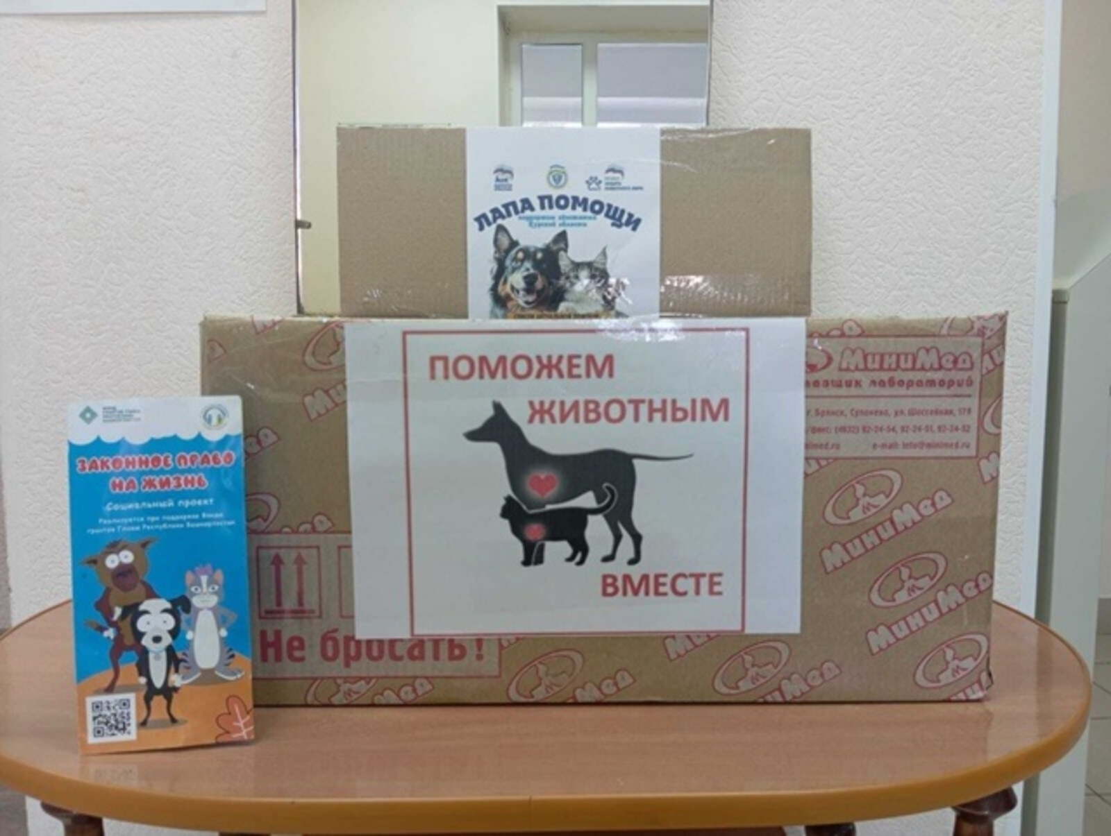 Поможем пушистым подопечным