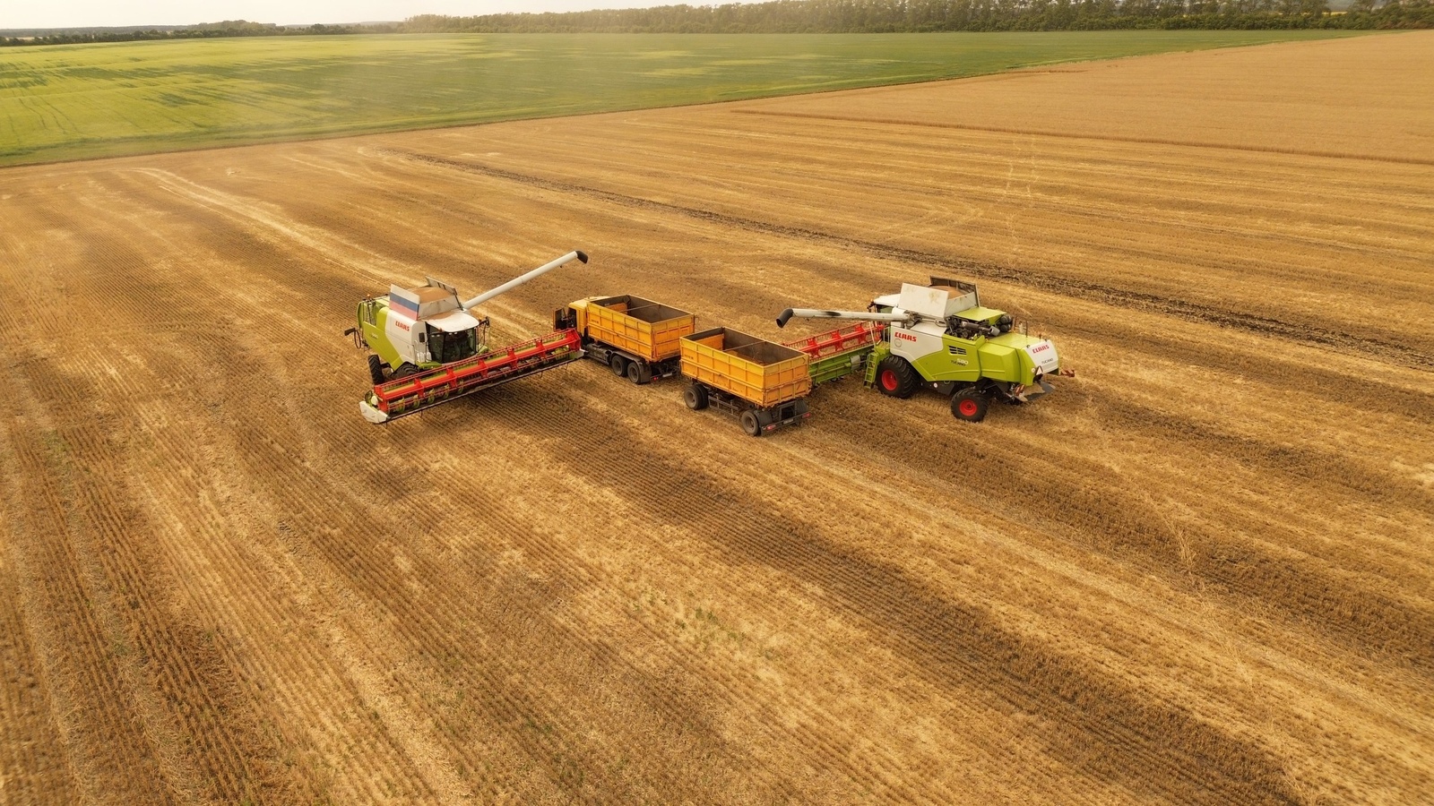 ООО «БашкирАгроинвест» в числе первых приступило к уборке урожая