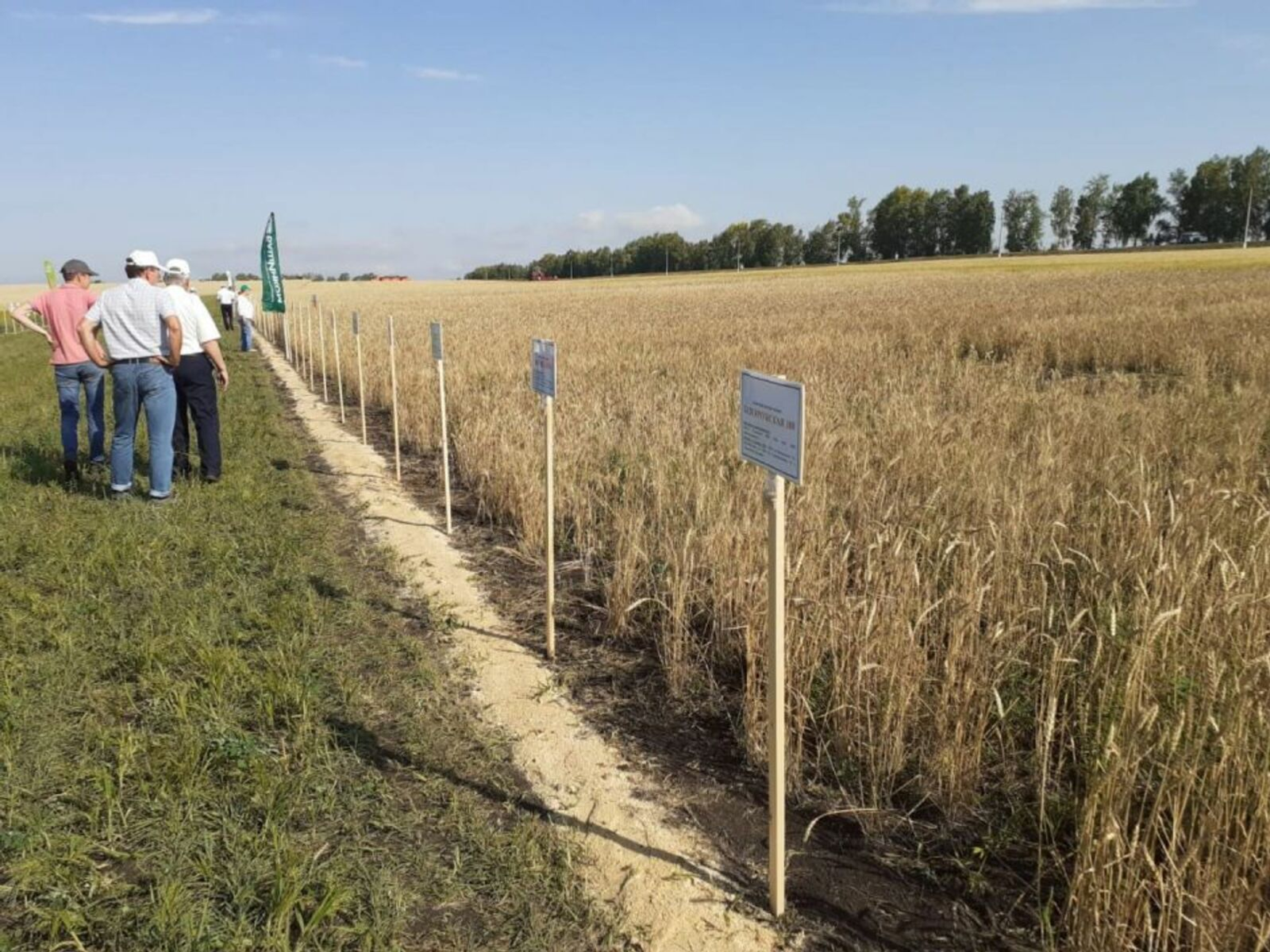 Ученые УФИЦ РАН стали обладателями гранта