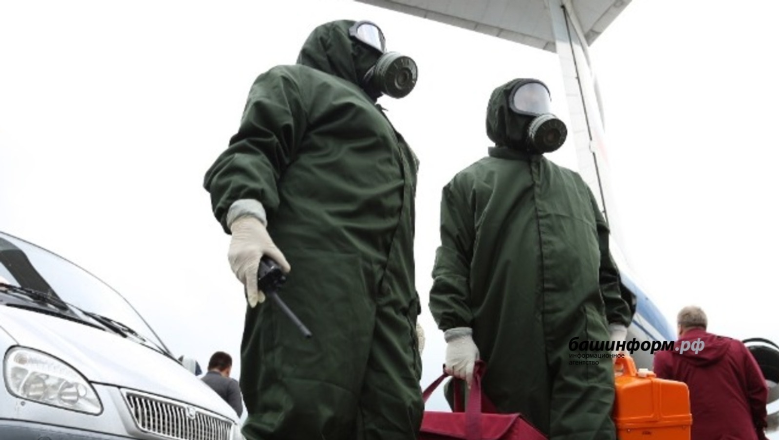 В одном из районов Башкирии ввели карантин по бешенству