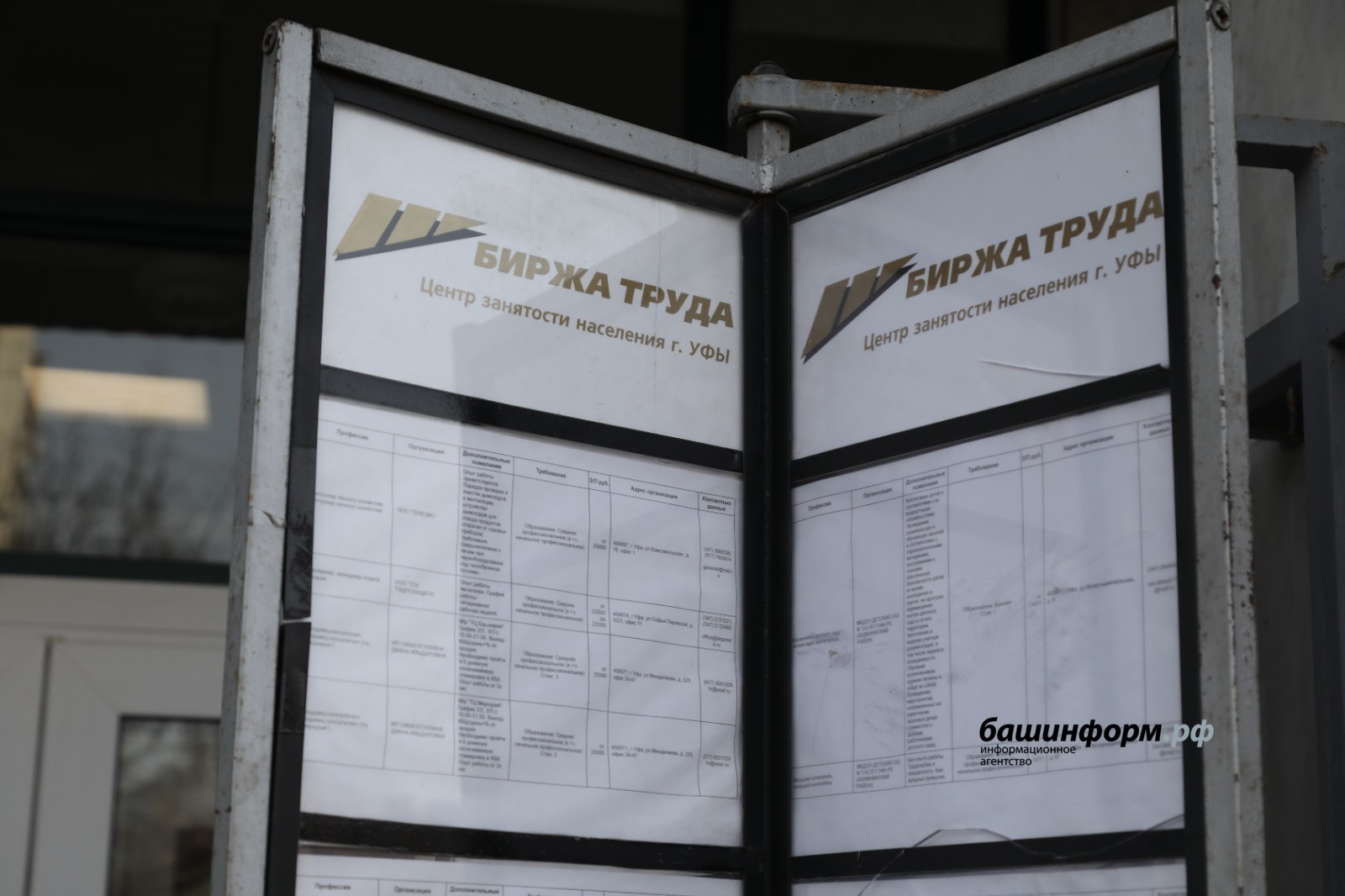 Названы самые востребованные вакансии в Башкирии