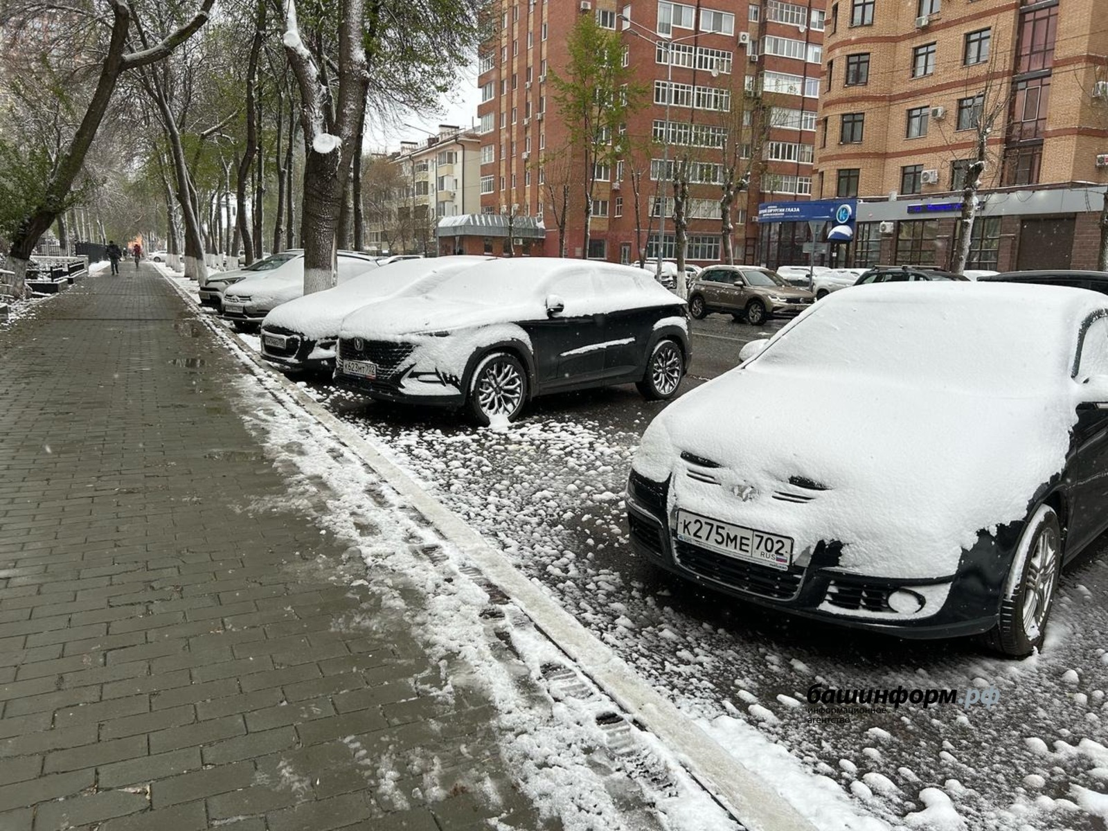 В Башкирии прогнозируются заморозки до -3°
