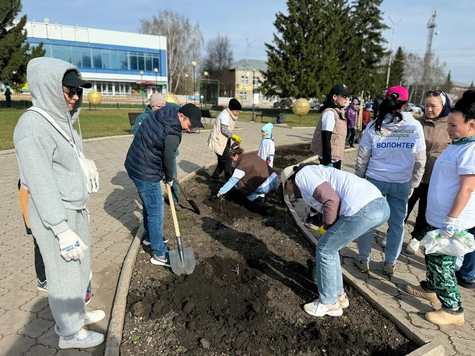 Зацветут гортензии и рябины!