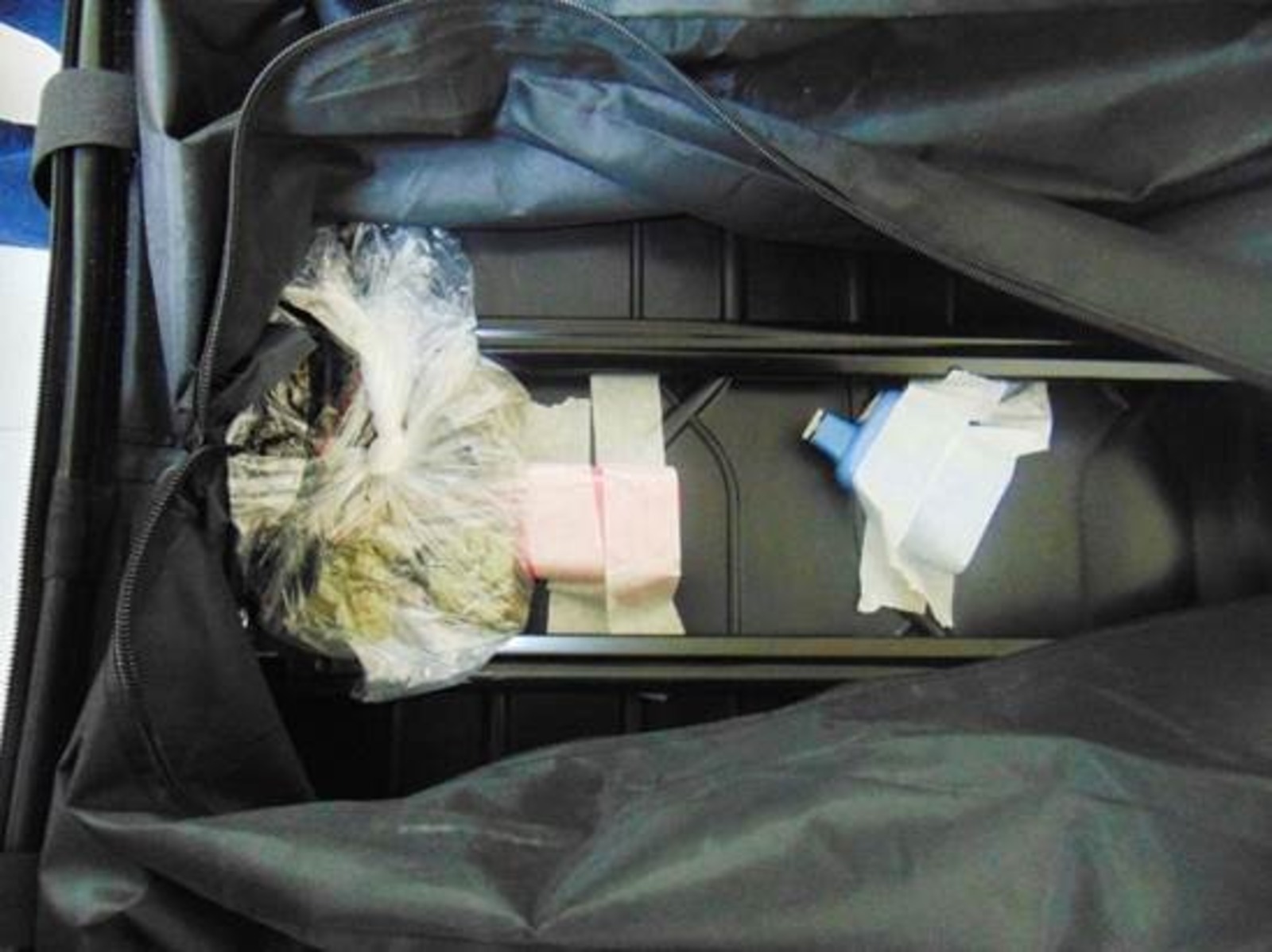 В Уфе собака таможни нашла наркотики в чемодане