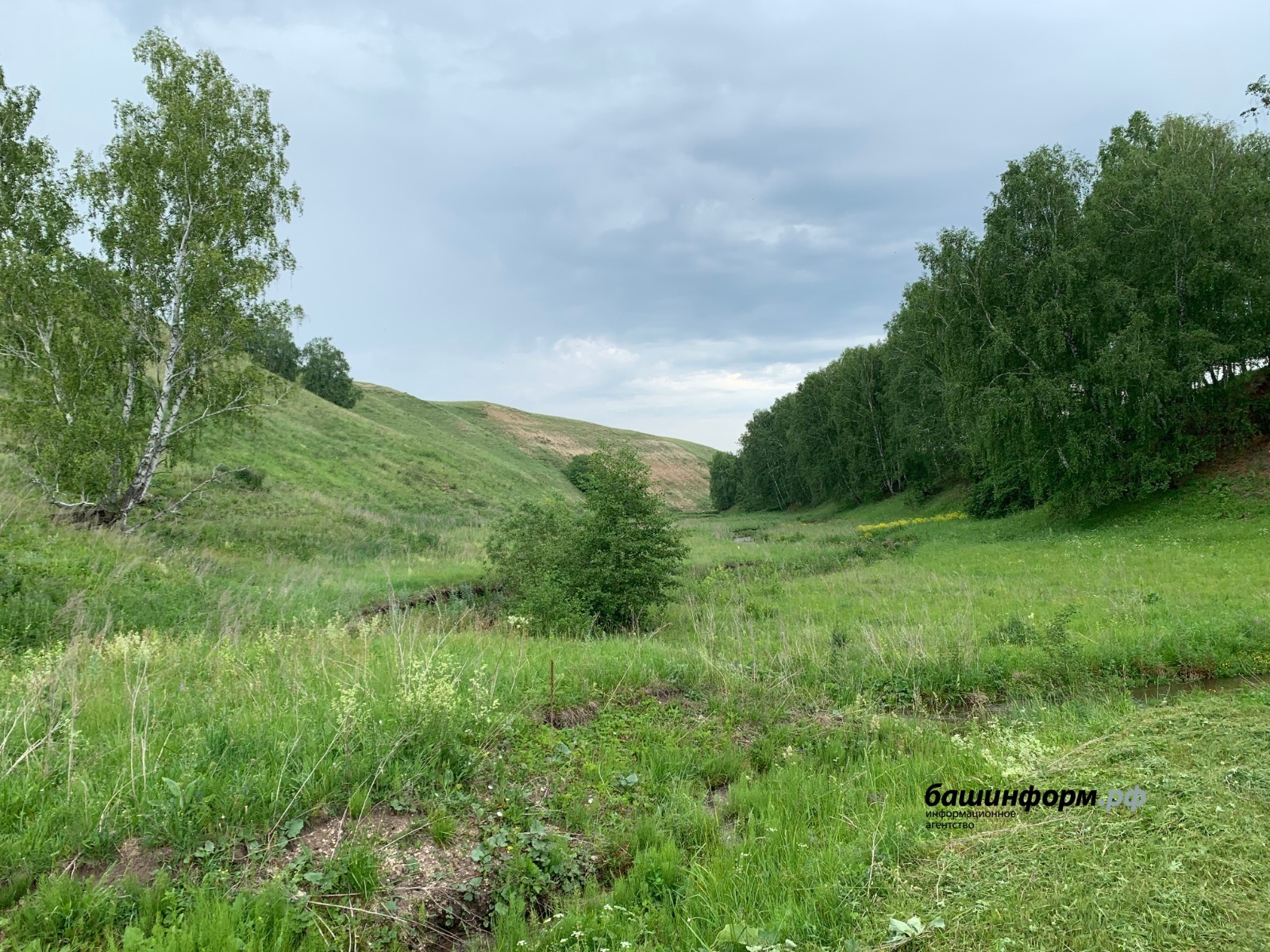 В Башкирию идет жара