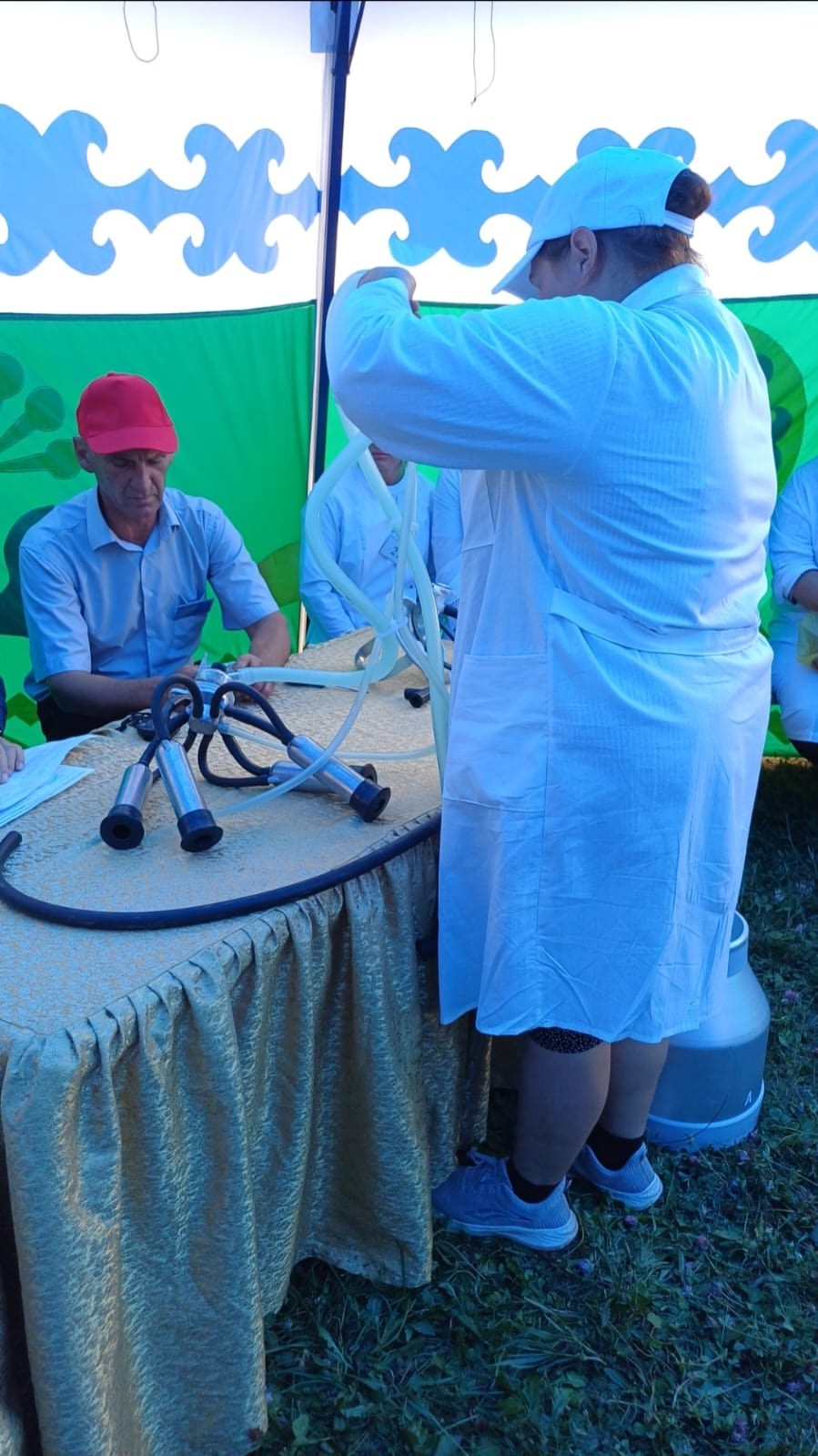 Любовь к профессии – путь к мастерству