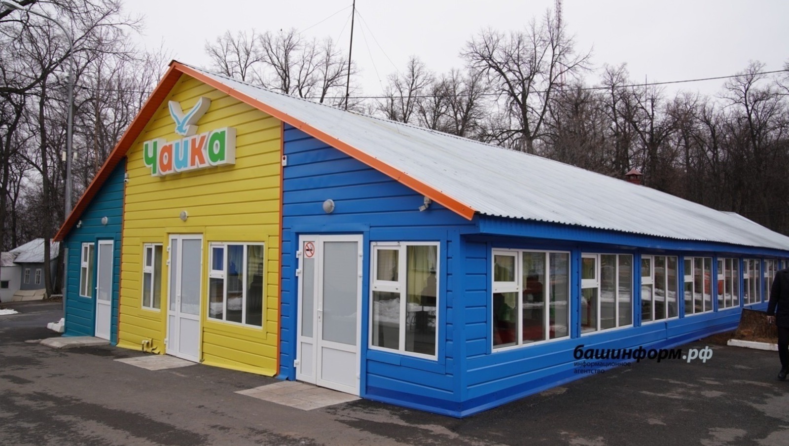 Ответственность за летнее оздоровление детей возложат на глав регионов