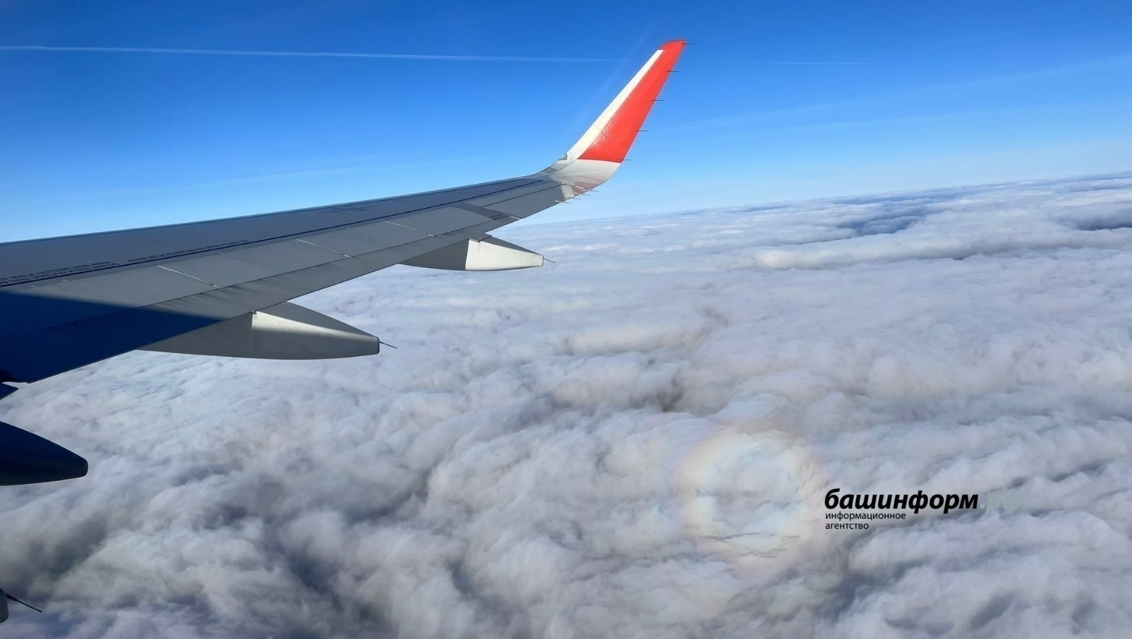 Самолет Минводы – Уфа столкнулся в небе с птицей