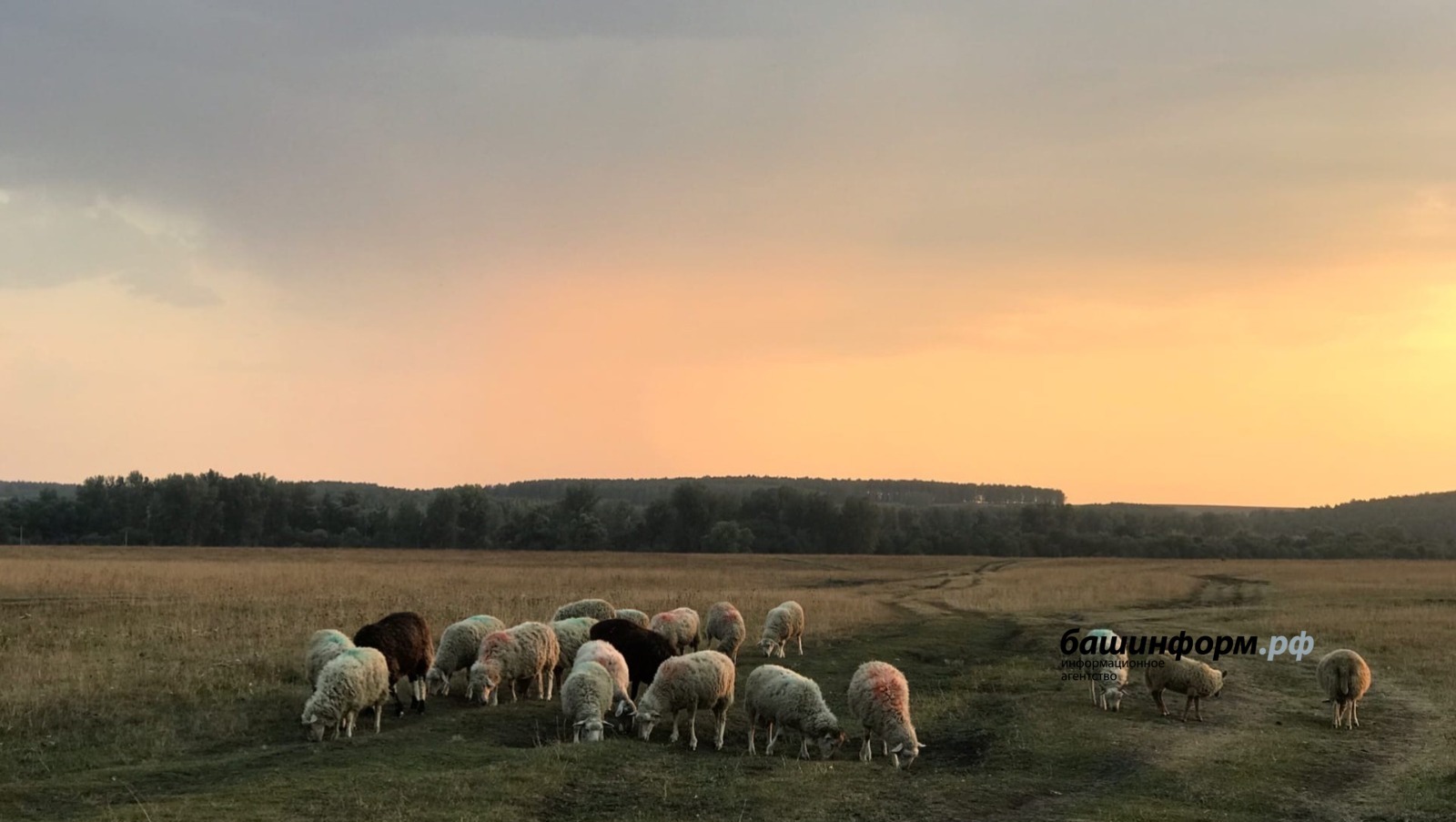 В Башкирии прогнозируются ливни, грозы и град