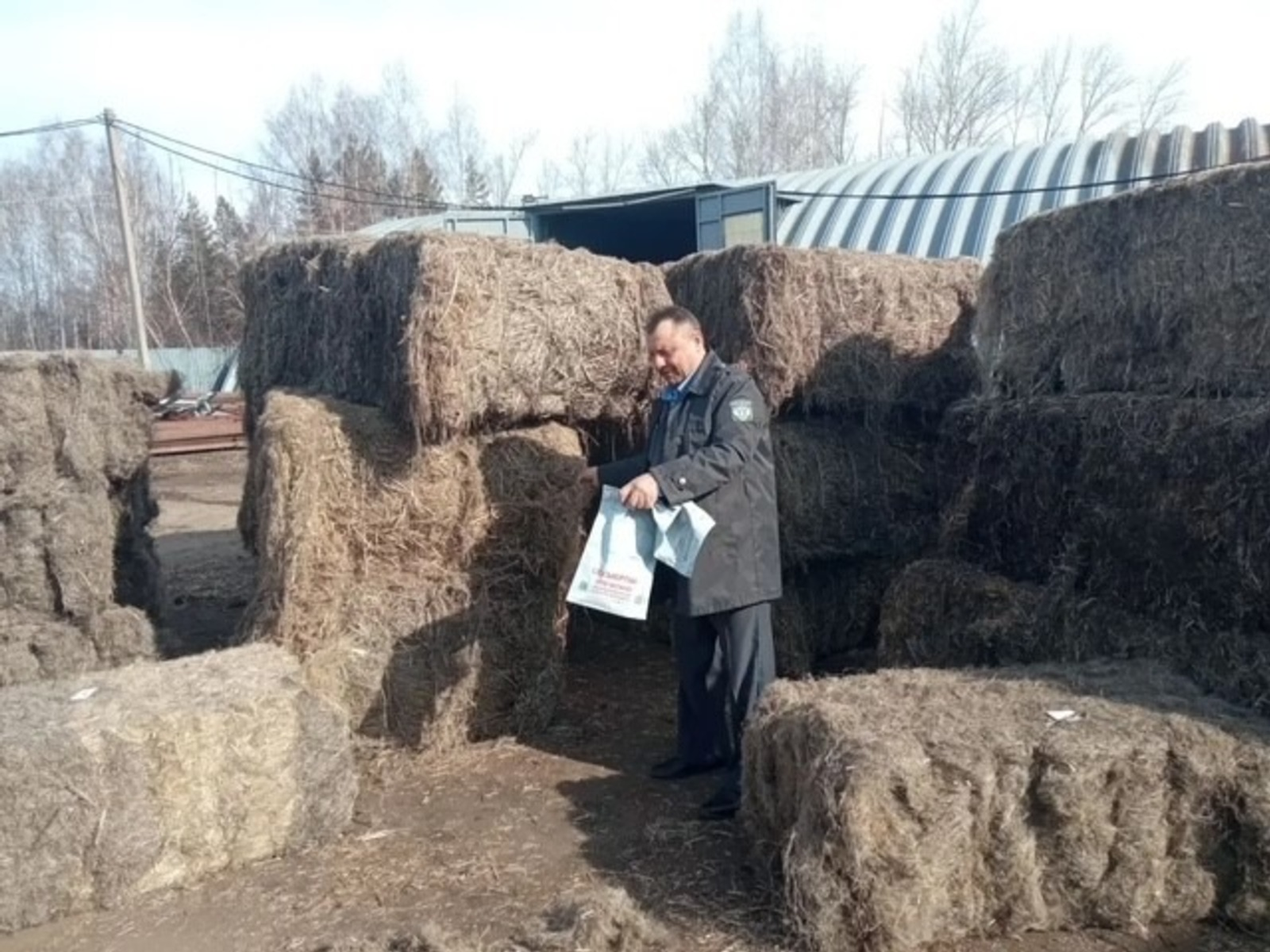 Китай закупил пеньку в Башкирии