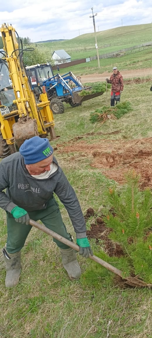 Озеленение в память о подвиге народа