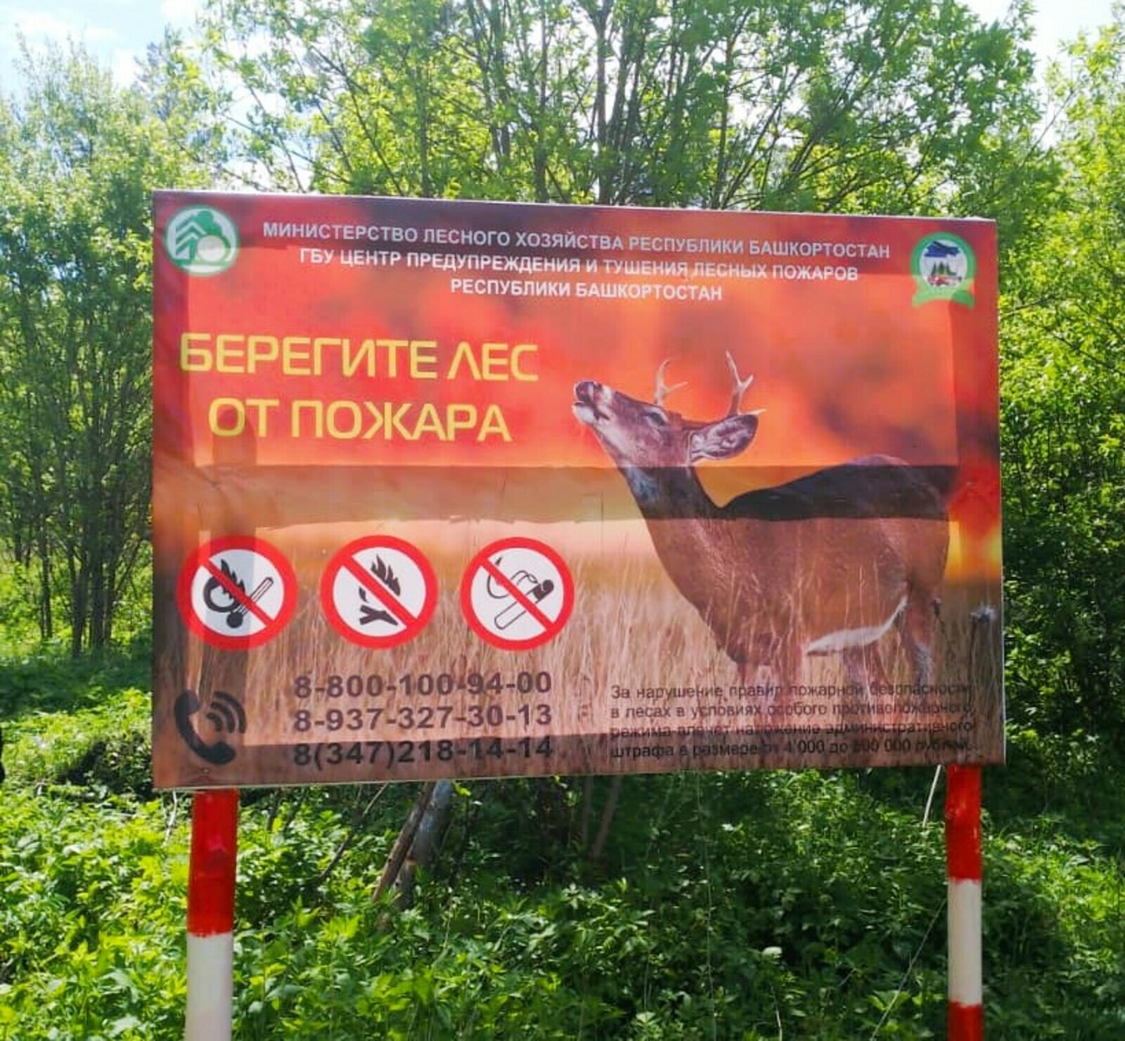 Лесоводы Башкортостана усиливают меры пожарной безопасности в лесах