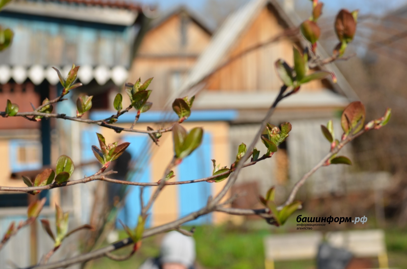 В Башкирии потеплеет до +26 градусов