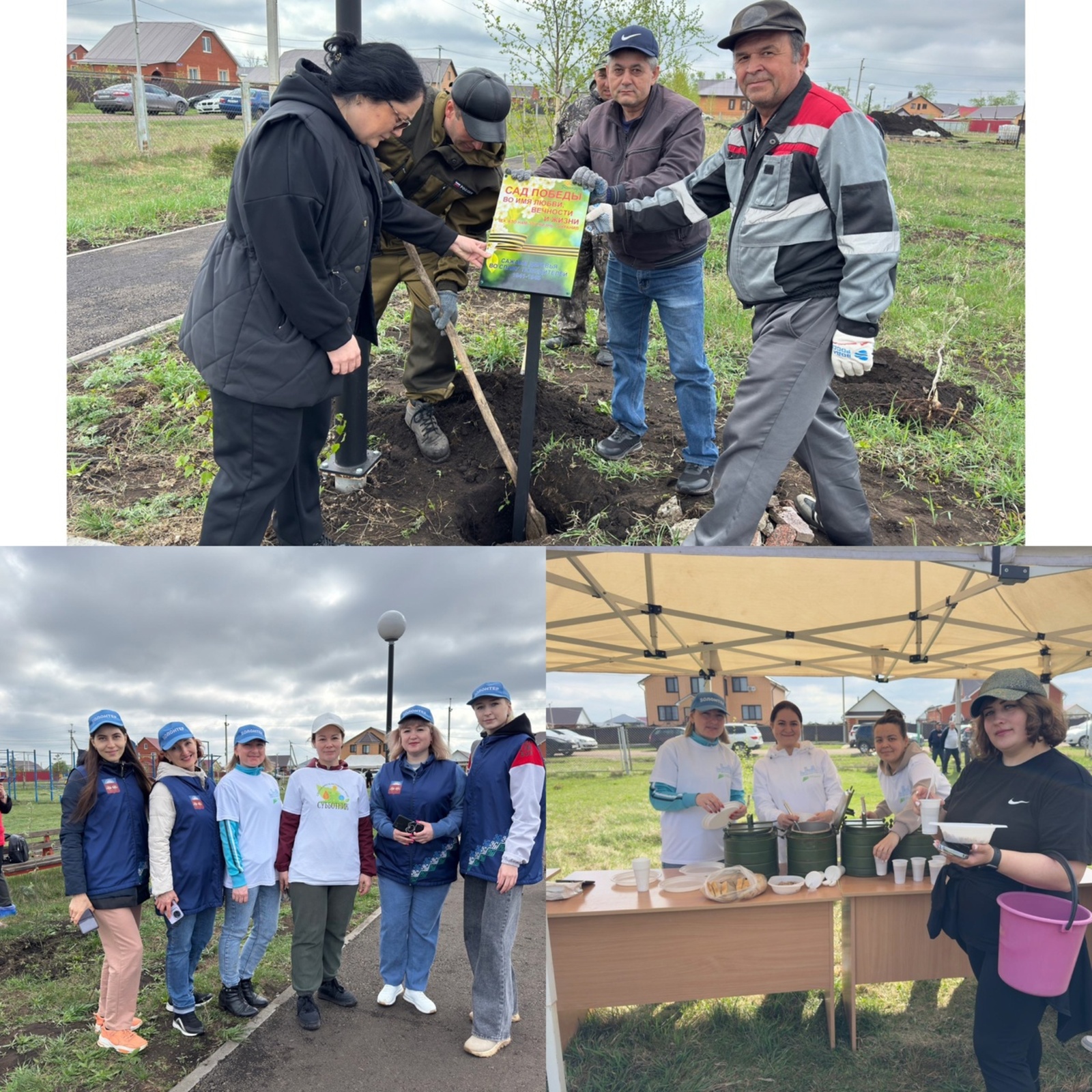 80 рябин в память о Героях