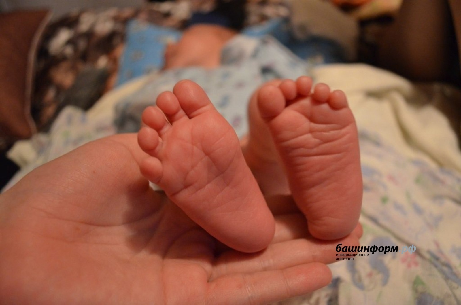 В Башкирии родились Олуфта и Зиёвиддин