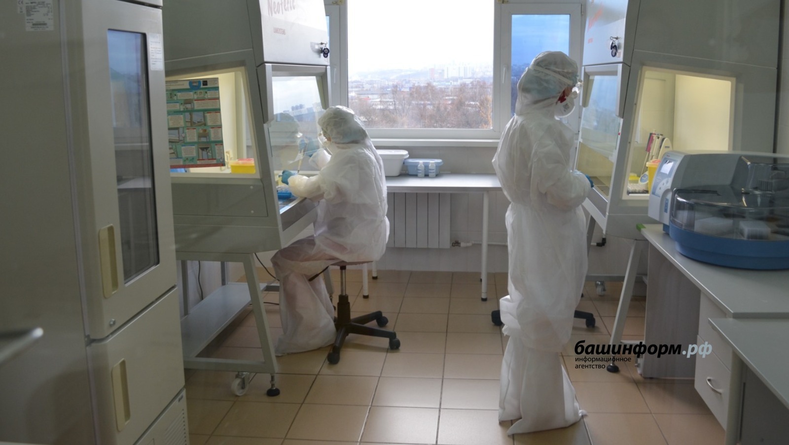 Роспотребнадзор сообщил о риске завоза в Россию лихорадки чикунгунья