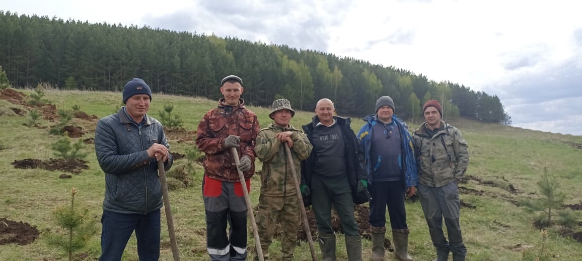 Озеленение в память о подвиге народа