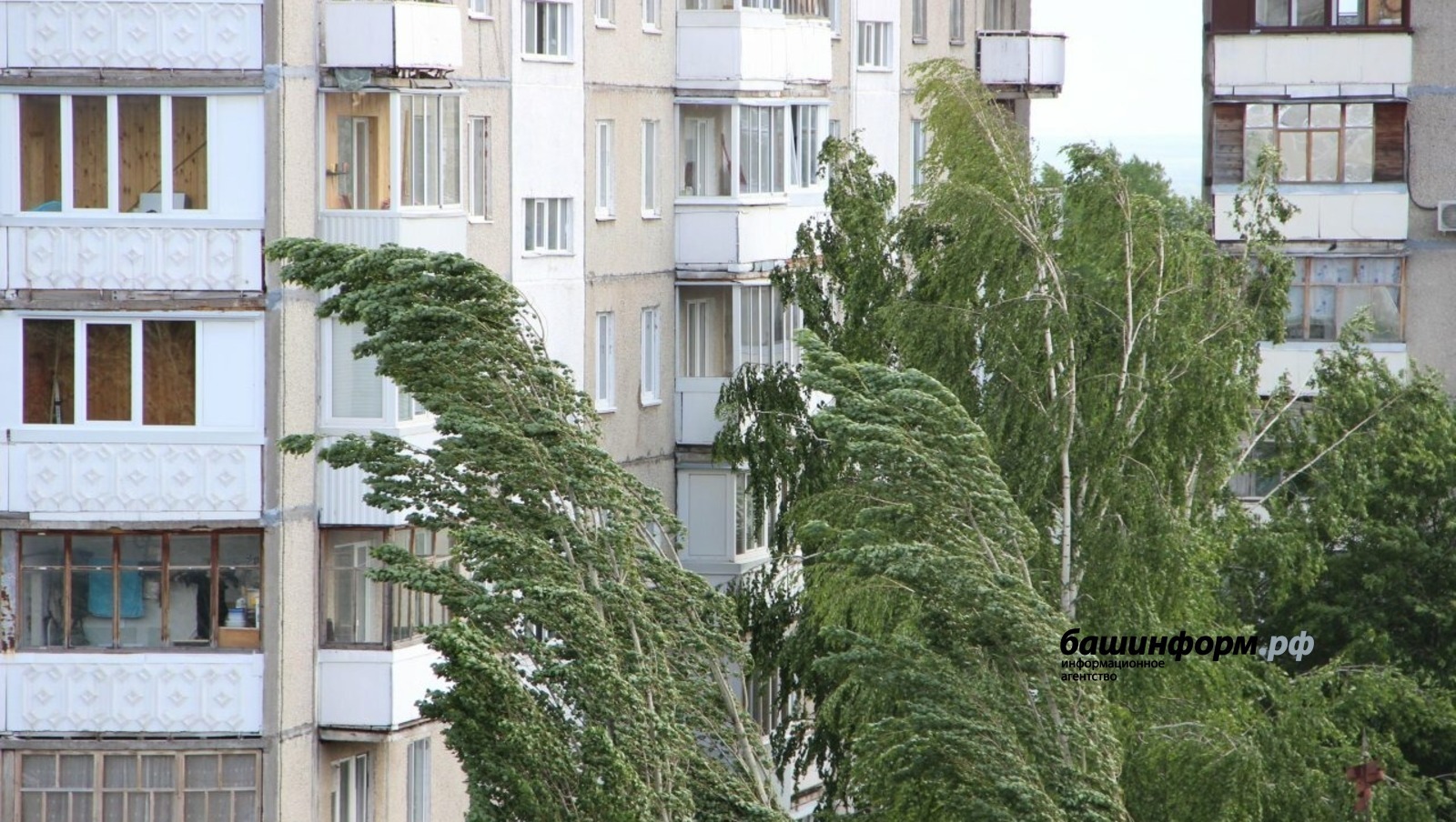 Внимание! В Башкирии ожидается ураганный ветер – МЧС