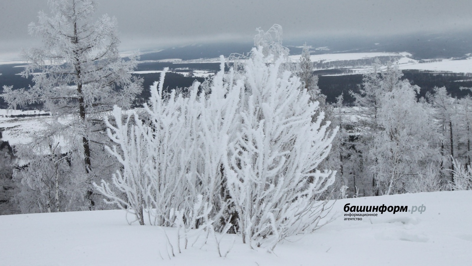 Пятеро туристов из Уфы исчезли в горах Урала