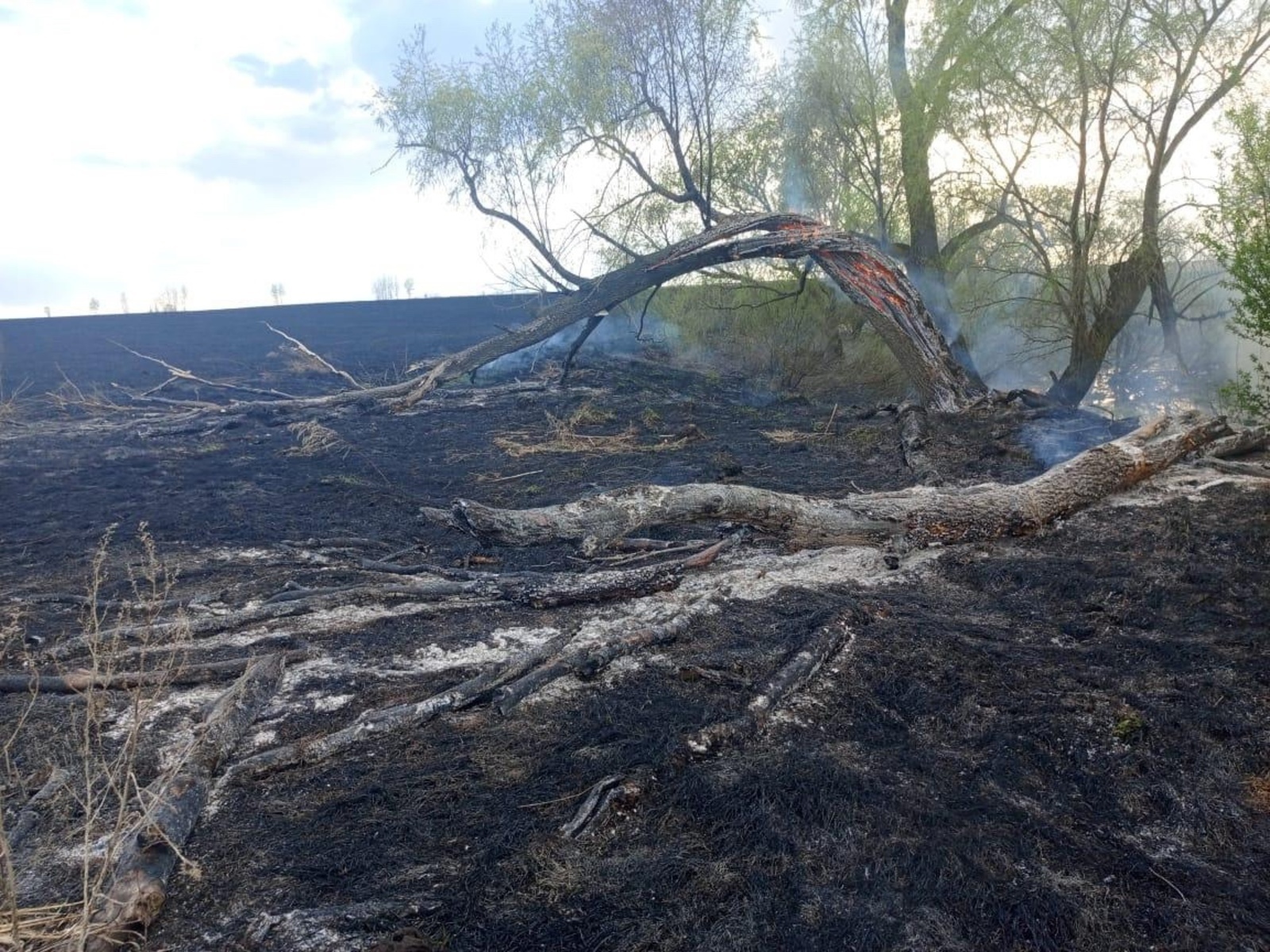 В Башкортостане продлили особый противопожарный режим