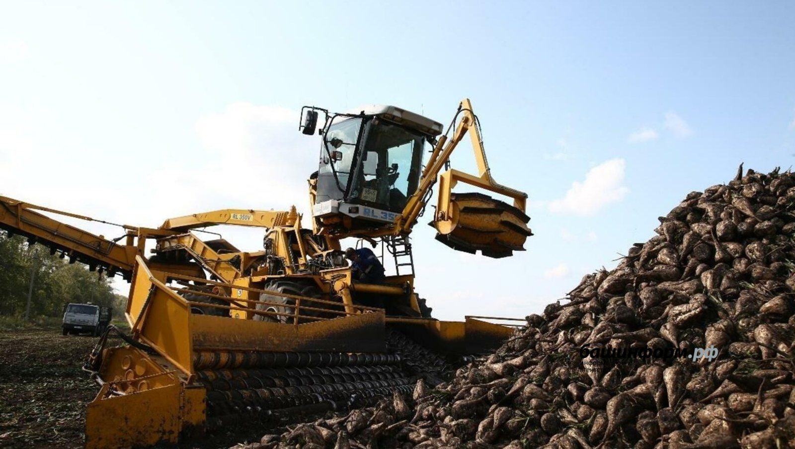 В Башкирии сахарные заводы приступили к работе на полную мощность