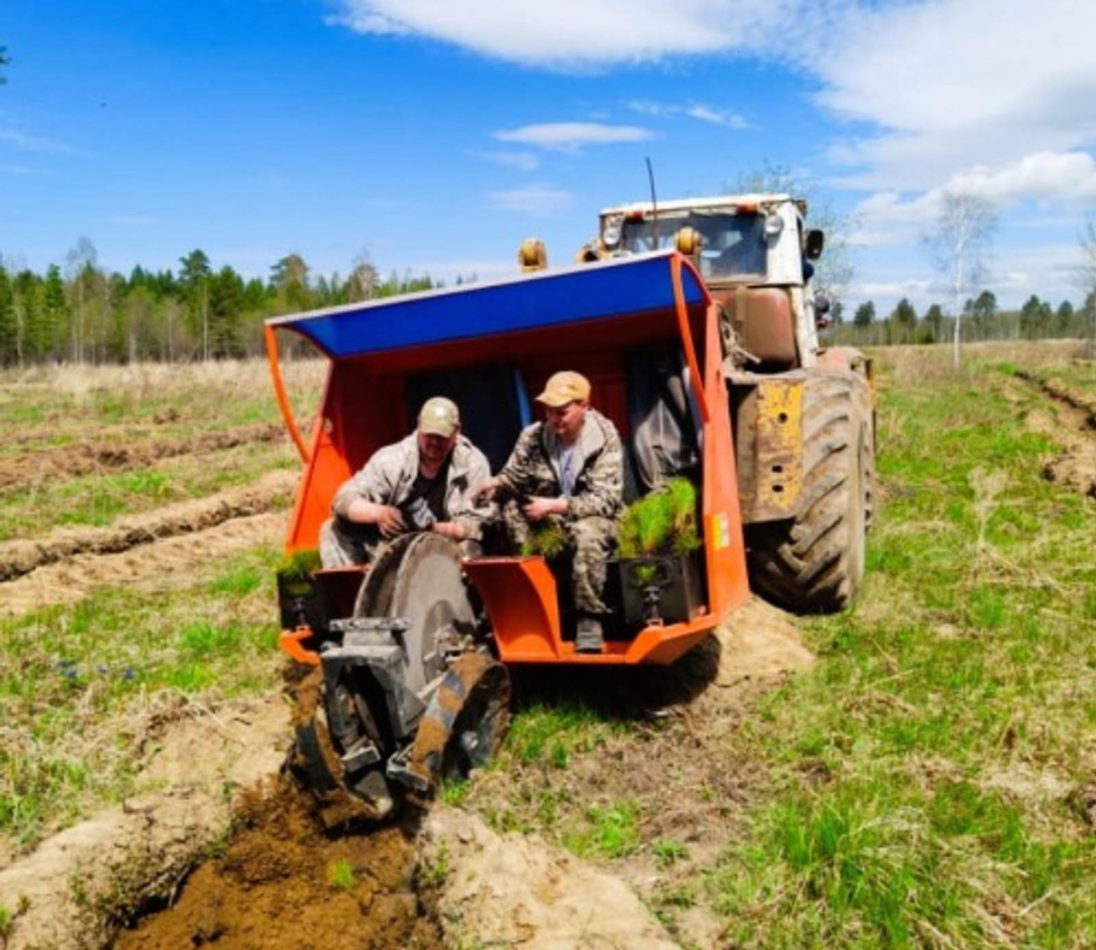В Башкирии молодым лесом засадили более 5 тысяч гектаров