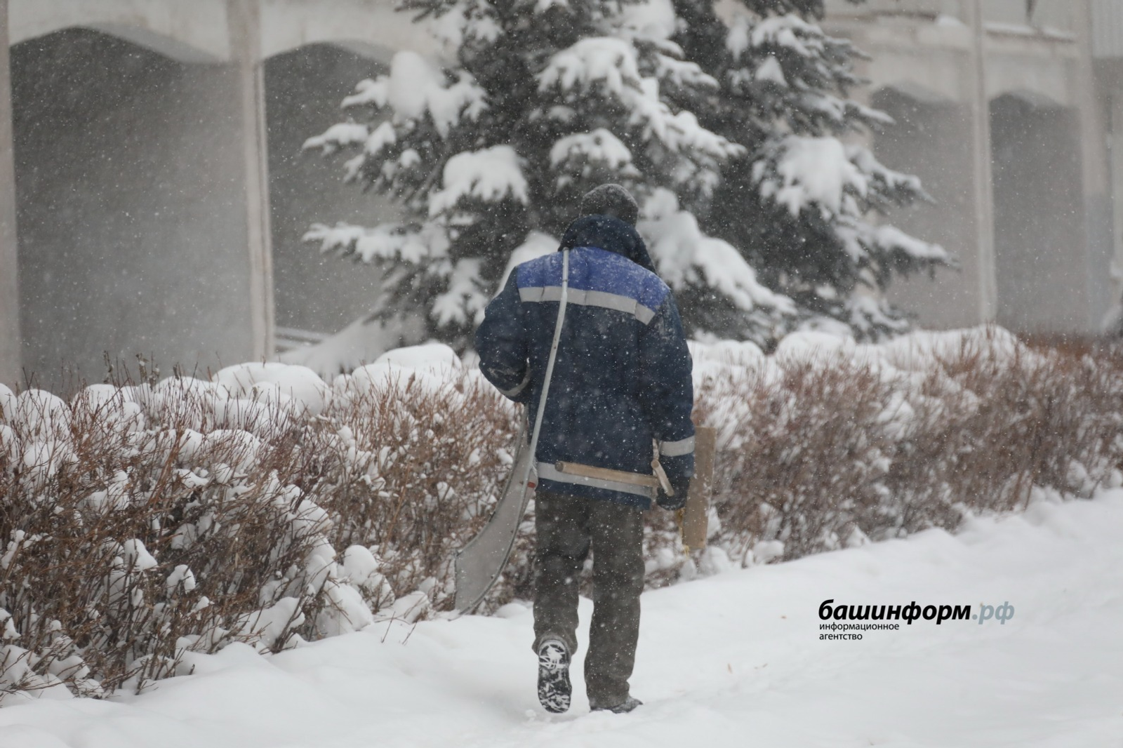 В Башкирии назвали численность экономически активного населения