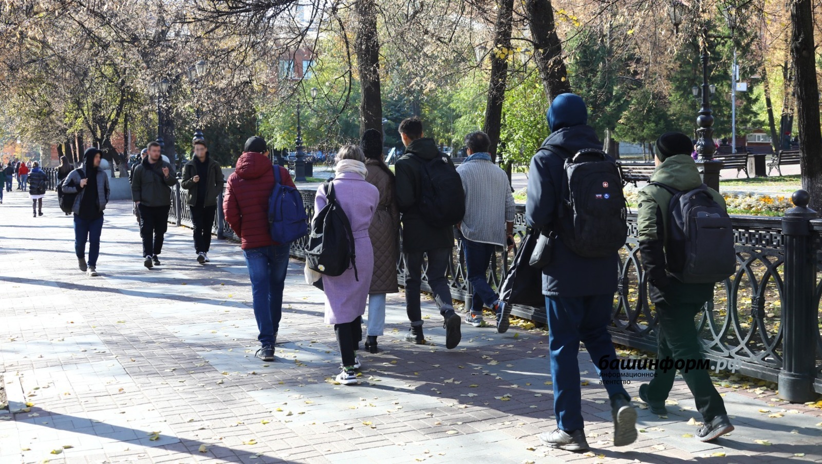 В Башкирии хотят узаконить правовое информирование граждан