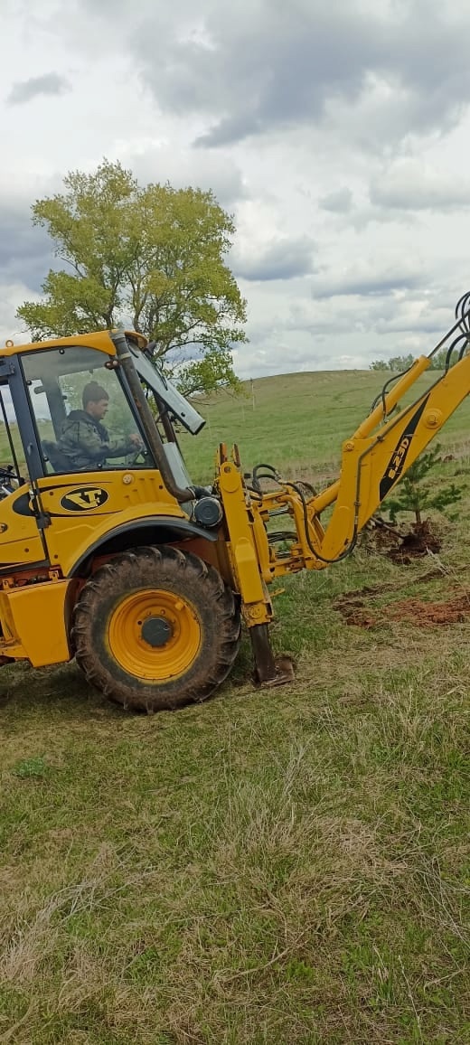 Озеленение в память о подвиге народа