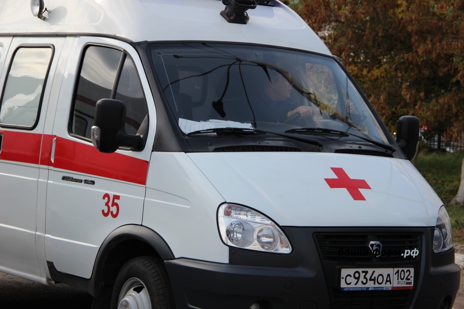 Бешеная рысь напала на жителя Башкирии