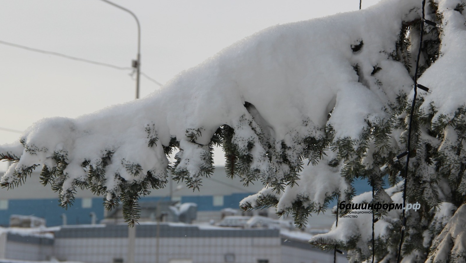 Жителей Башкирии предупредили о штормовом ветре и 30-градусных морозах